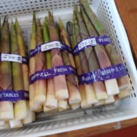 助けて欲しかった