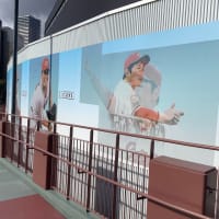 【秋山モンテロ昇格へ】悩ましいカープ打線【奨成ファビ末包】
