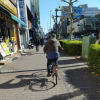 自転車専用通行帯(亀戸)