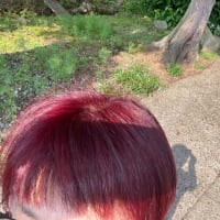 草刈りの記録