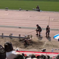 第109回日本陸上競技選手権大会第3日