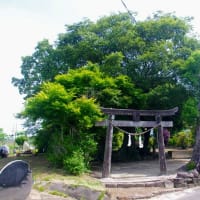 森稲妻神社の御神木と森殿原の宝塔