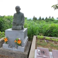 月イチの神社詣りとお墓参り
