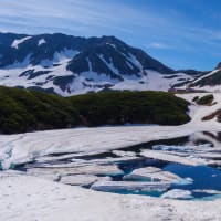 6月に立山黒部アルペンルートに向かう