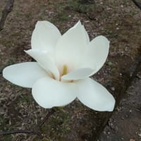 四十九日法要