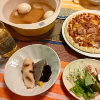 寒くて家ごもり。