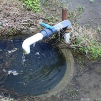 取水口　暫し賑やか