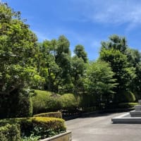日向ぼっこ？