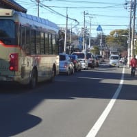 だるまさん両目開いて空にらむ（喜多院）