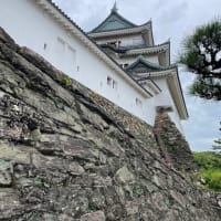 お風呂に入りに和歌山へ④和歌山城の石垣の石