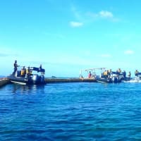 海上からＫ６護岸建設とサンゴの移植に向けた作業に抗議