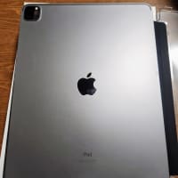iPadデビューから1カ月