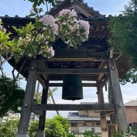 鳴神山へハイキングに行ってきました