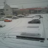 新潟市内もそこそこ雪降りました