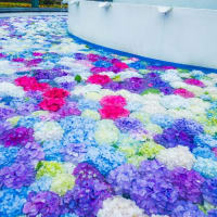 「あじさい花手水」の諫早・山茶花高原　2025/6/15