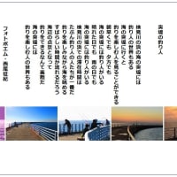突堤の釣り人