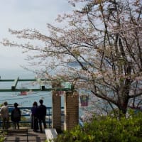 AIも花盛り