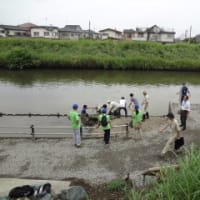 ８月１２日  新方川「水辺の楽校」に参加