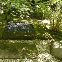 報国寺の庭石