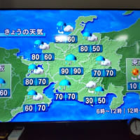 ６月２３日鶴舞公園テニスコートは雨