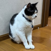2025/6/21の夜