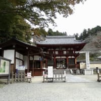 06/21奈良京都への旅ー9（明日香村④：石舞台古墳、犬養万葉記念館、岡寺、）