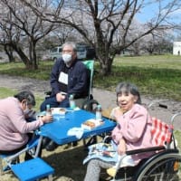 かがやき　お花見外出