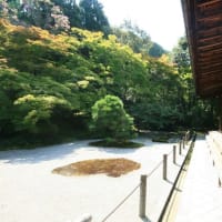 綺麗な天授庵の庭園（南禅寺塔頭）