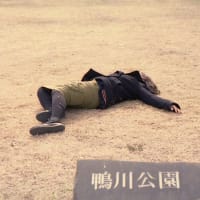 鴨川ホルモー
