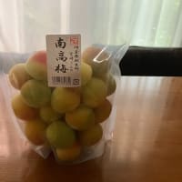味比べ♪