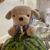 夏のすいかまつり