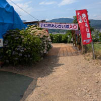 2025初夏の軽井沢旅行2日目（その3）