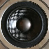 ダイアトーン DS-66EXのレストア(7)    ミッドレンジ編(1)