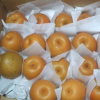 今シーズン、梨は2回お取り寄せ