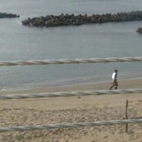 今年も見せてくれるかな！ルアー釣りやっているおじさん