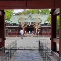 根津神社 夏越しの大祓