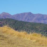 旧 賀茂の百山 伊豆 南豆のやま