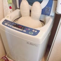 ブログをAmebaブログに引っ越しいたしました