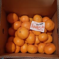 気づけば師走