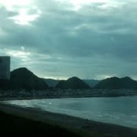 今朝の鴨川　　25/06/21