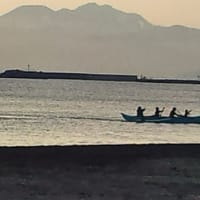 最近のパドルボード(SUP)の情景