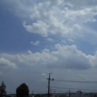東京は今日も梅雨の晴れ間？　もう夏のよう…（;´▽｀A``
