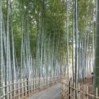 我慢するのはやめる！