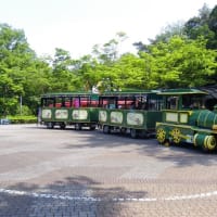 埼玉県こども動物自然公園で動物さんに癒される　その５　最終回