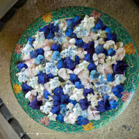 四葩の頃【一条恵観山荘】光に浮かび上がる紫陽花に魅せられて・・・