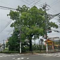 我が町の今昔を地図で確認