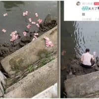 橋の下に降る札束　中国でまた「現金ばら撒き事件」【動画あり】