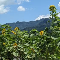 夏休みまであとわずかですが・・・