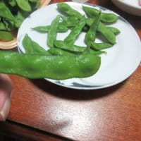 幸せの四つ豆