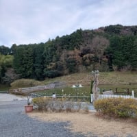 掛川花鳥園２０２１年訪問記録☆ポポちゃんを見た最後の日
